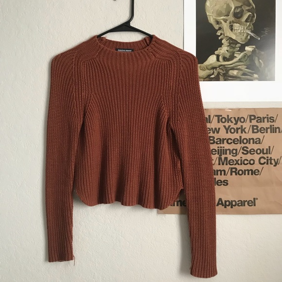 American Apparel Sweaters - sold AA / aslan sweater